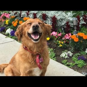 Meet your Posher, Ryan